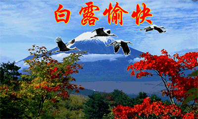 《郭小林诗人古诗》作者:郭小林 [中国现代诗歌文化传媒]（图7）