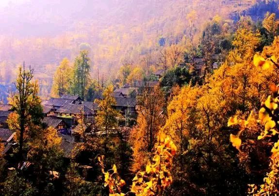 《现代诗人刘文波古诗七律》作者:刘文波 [中国现代诗歌文化传媒]（图6）