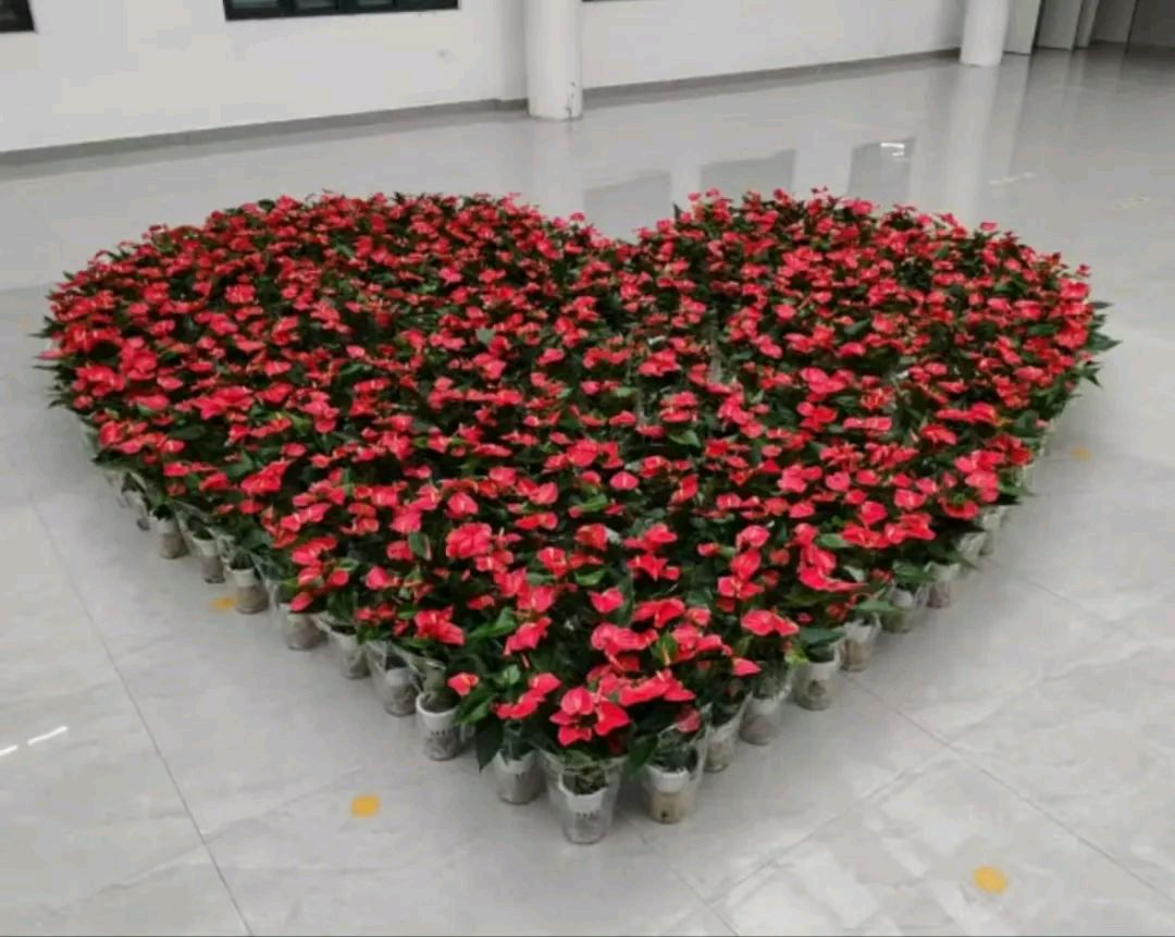 教师节有感