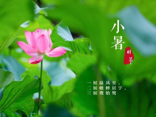 天仙子（皇甫松体）词林正韵《春分》生查子（贺铸体）词林正韵《小暑》作者/剧明水（图5）