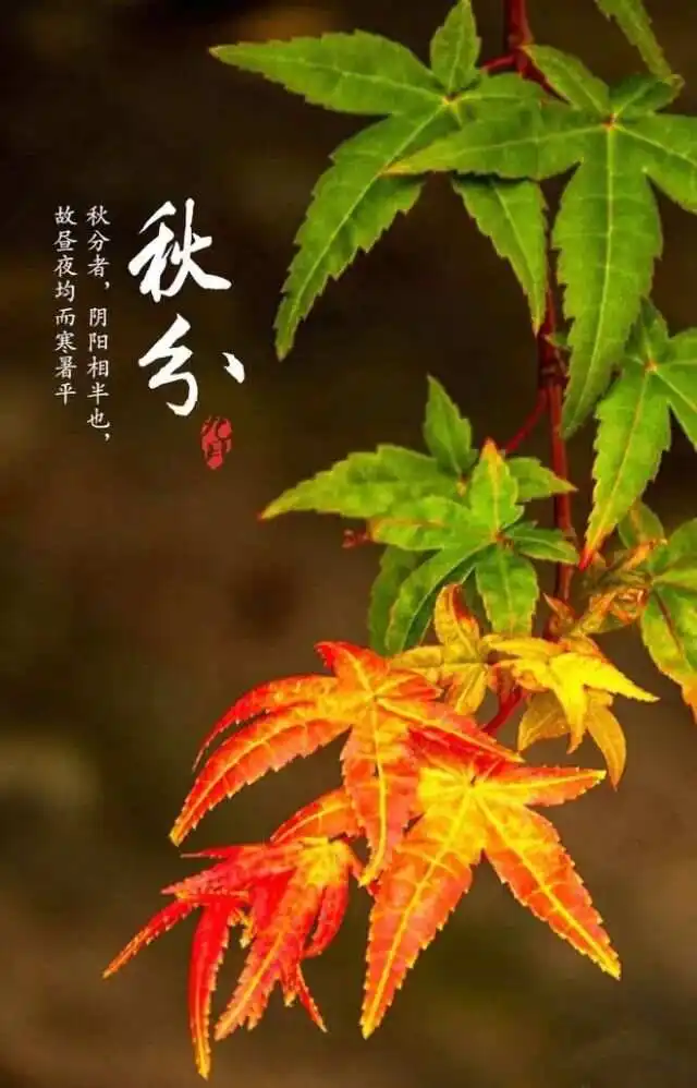 【国风燕赵诗社】孙国基老师诗词专辑与您共享!(图19)