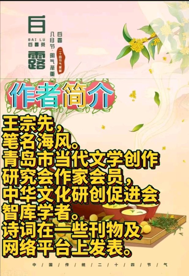 《现代诗人海风古诗新品》作者:王宗先 [中国现代诗歌文化传媒]（图9）