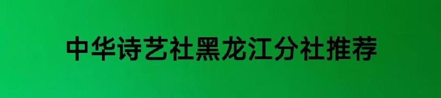 陈明伟现代诗二首/中华诗艺社黑龙江分社推荐（图4）