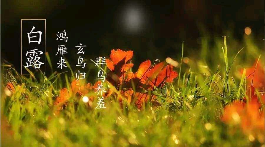 【明心文学】心灵活水-诗词三首 主播-薇薇（图4）