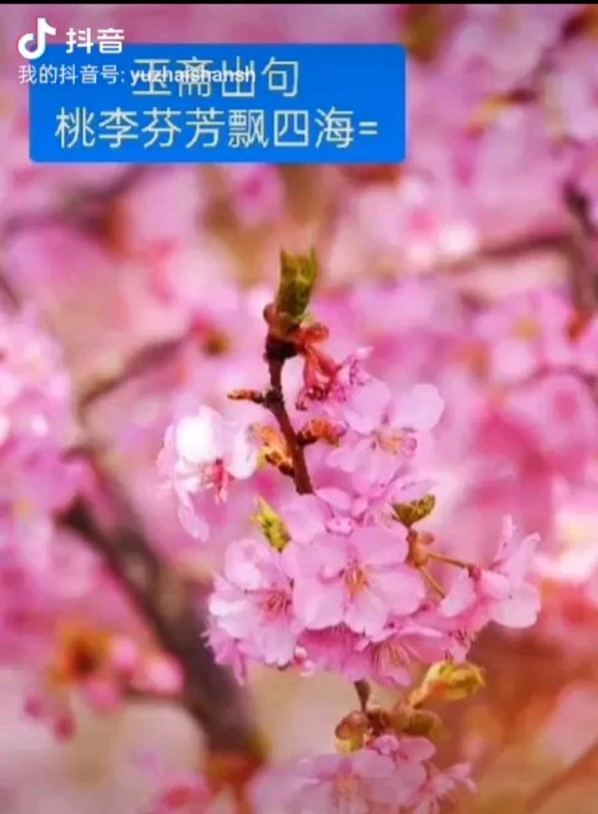 【都市头条向幸福出发编辑部】第12477期 云霞群诗联园地 225（总编 刘玉斋）