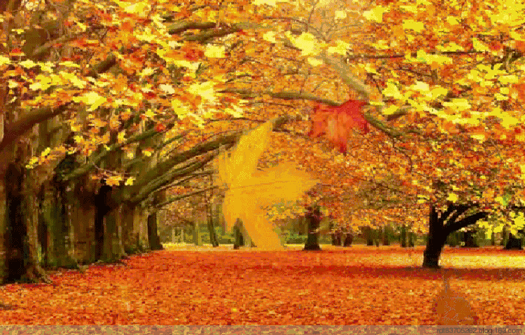 【枫雅汇看图约诗】诗人陈江《286期》(红叶)(图7)