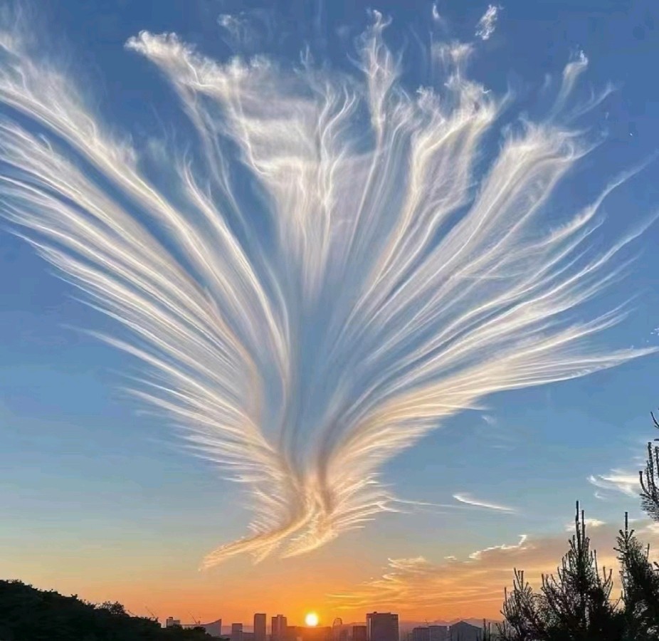 ​​切莫推杯轰天一醉（图2）