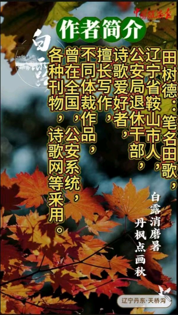 《中秋节问候》作者:田歌 [中国现代诗歌文化传媒]（图8）