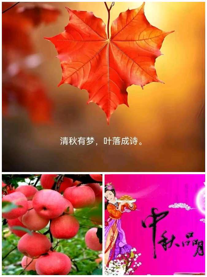 【重磅推出】鲁坡//七律•秋色流丹[写在中秋圆月时]秋韵系列作品展（图5）