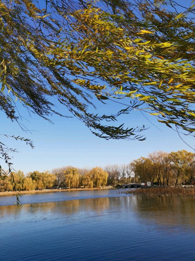 七绝-秋风～诗||王政（图8）