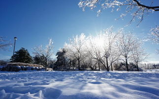风花雪月题吟（图6）