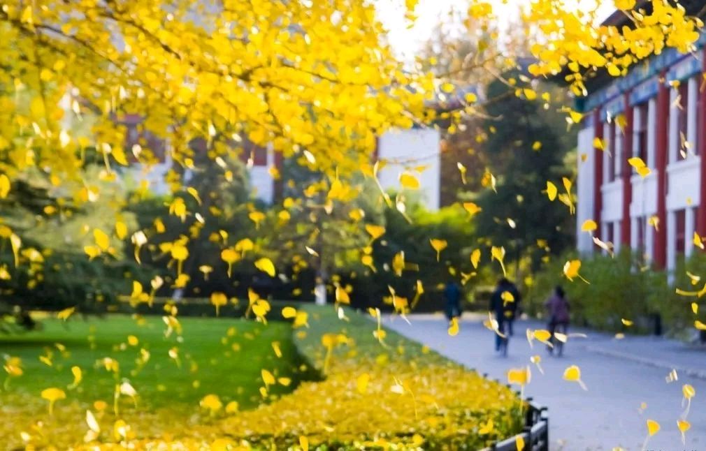 风花雪月题吟（图4）