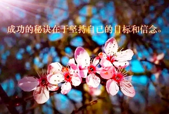我在坚持中前行～作者||洪博棋～导师||魏兴付（图11）