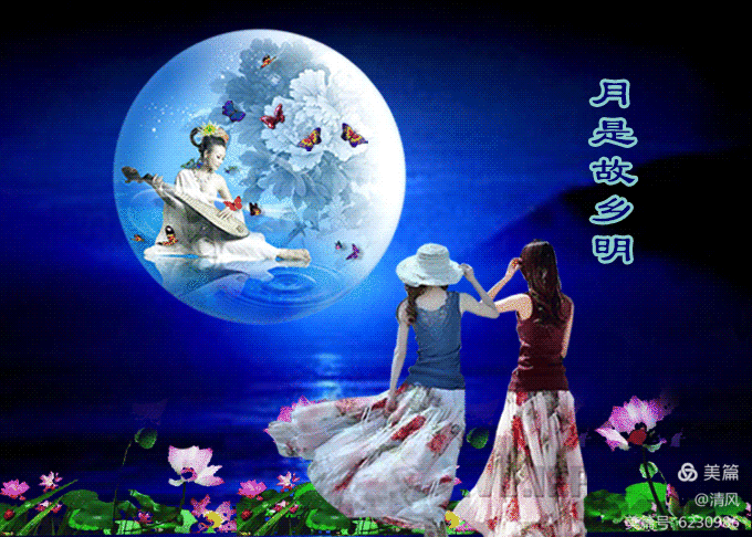 【中华好诗词】分享优秀诗人姚树学老师《写给仲秋的诗句》请欣赏（图7）