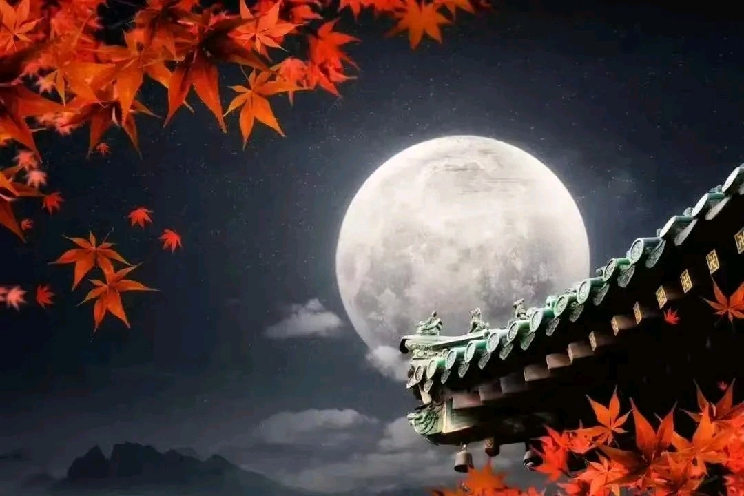 《月圆中秋》文/青山新雨（图4）