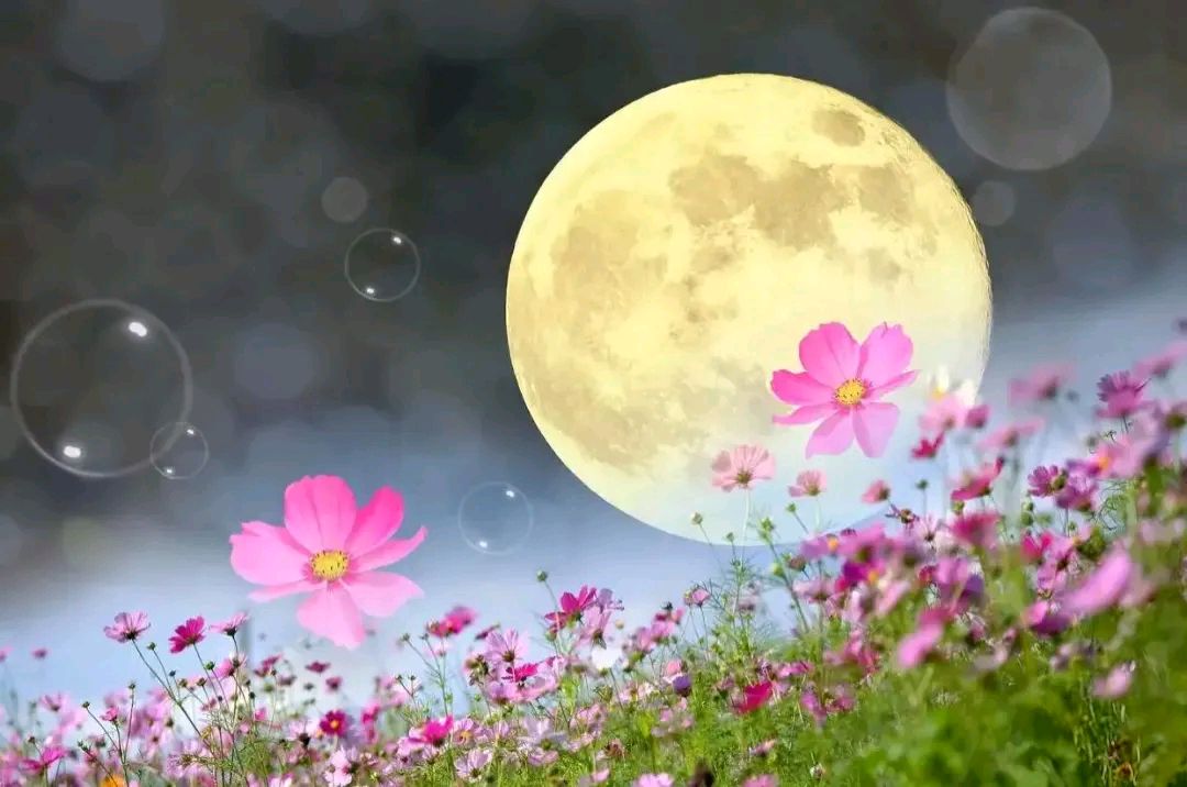 人月圆*中秋偶成金夜（兰州）（图3）