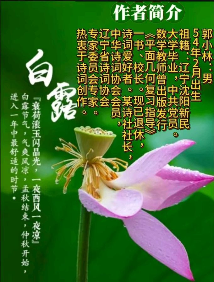 《现代诗人作家郭小林现代古诗新品发布》作者:郭小林 [中国现代诗歌文化传媒]（图11）