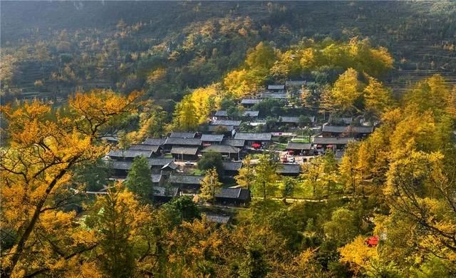 《著名现代诗人古诗七律新作》作者:刘文波 [中国现代诗歌文化传媒]（图9）