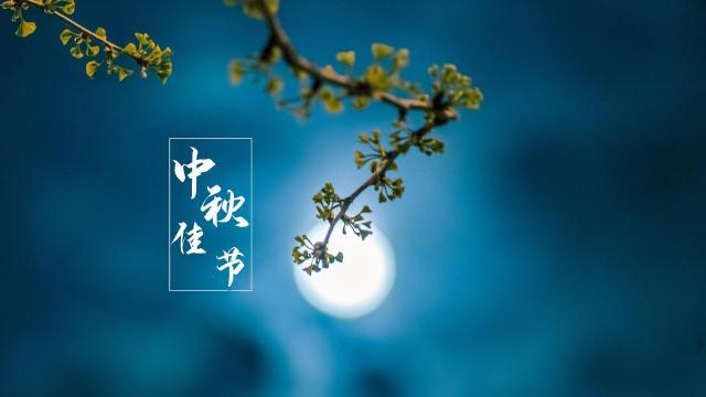 【重磅推出】鲁坡//梦圆当在甲辰秋[秋韵抒怀]系列作品展（图16）