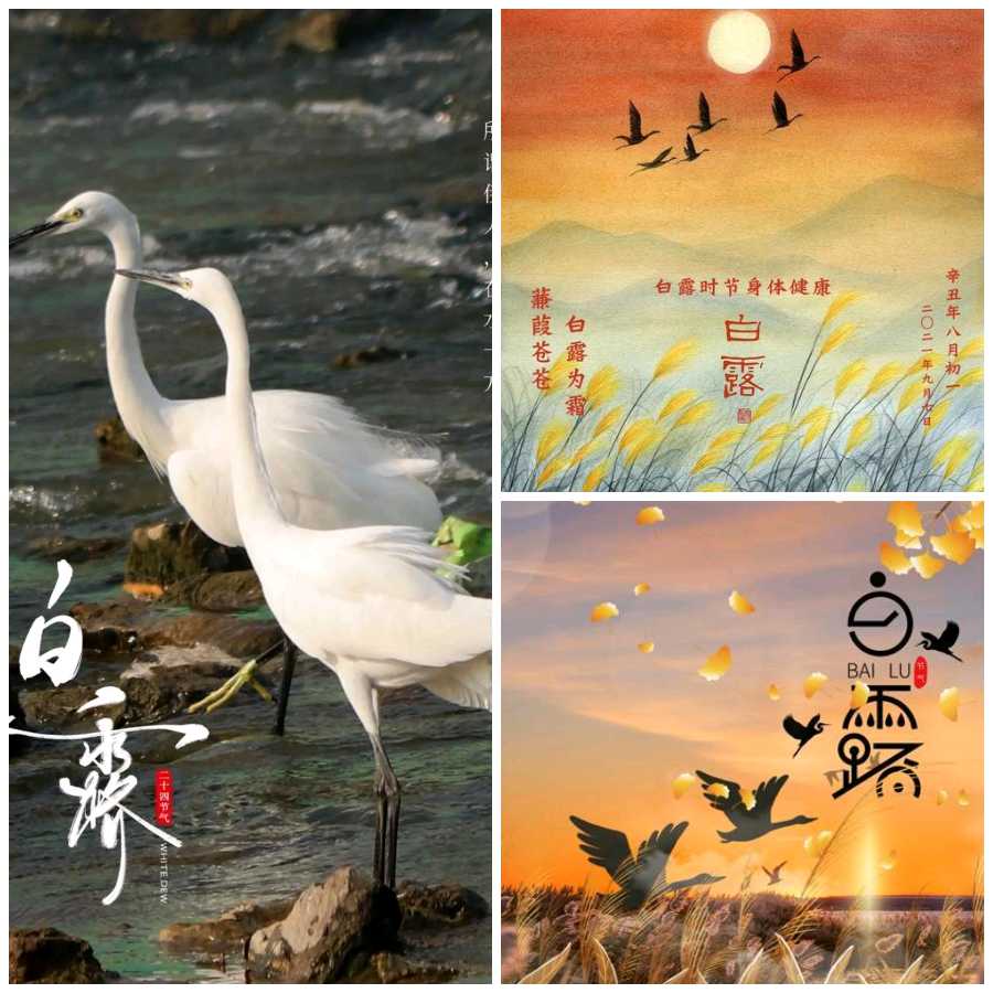 【秋韵抒怀】曾培方//庆中秋[外一首]（图4）
