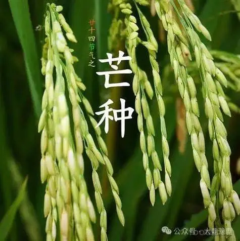 聆听 ‖ 赵秋云朗诵《踏浪》作者/刘伙力（图4）