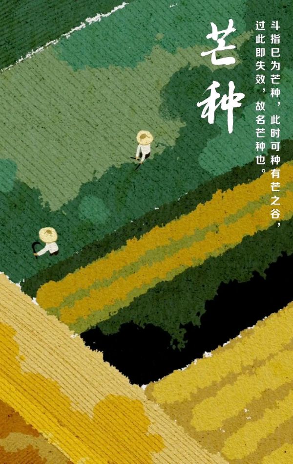 聆听 ‖ 赵秋云朗诵《踏浪》作者/刘伙力（图8）