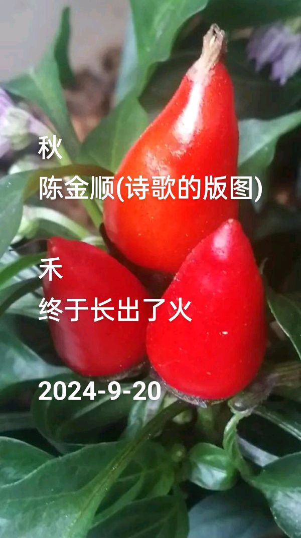 秋