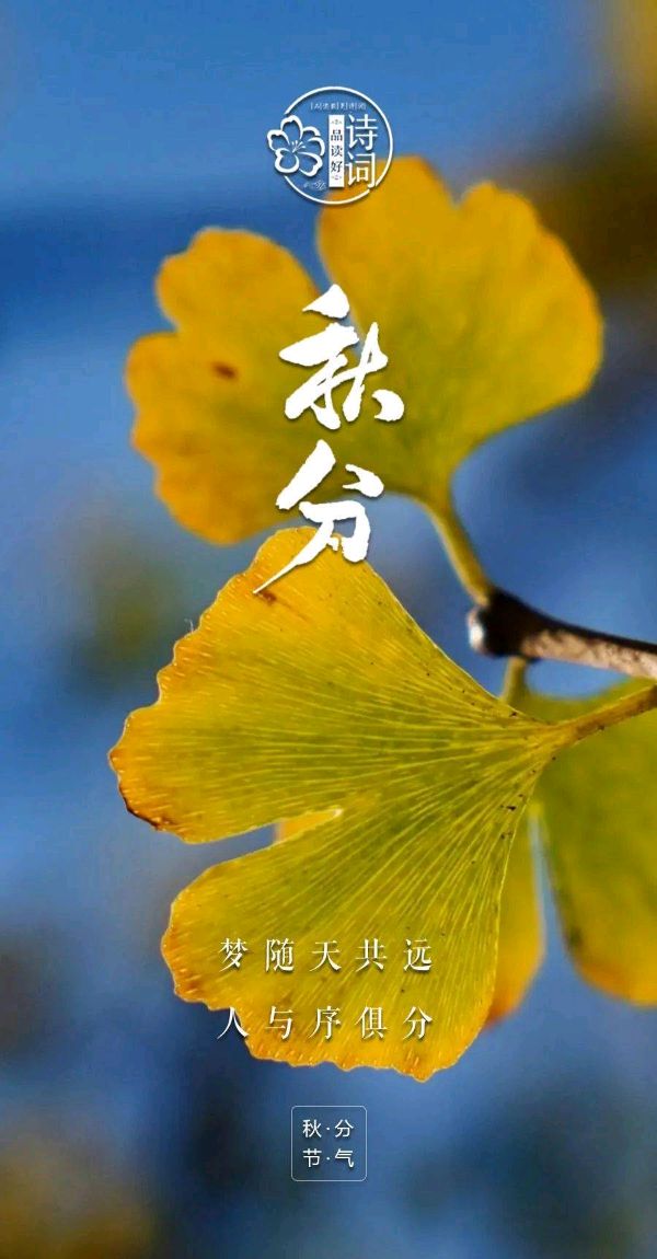 七律-甲辰秋分～诗||杨景儒（图8）