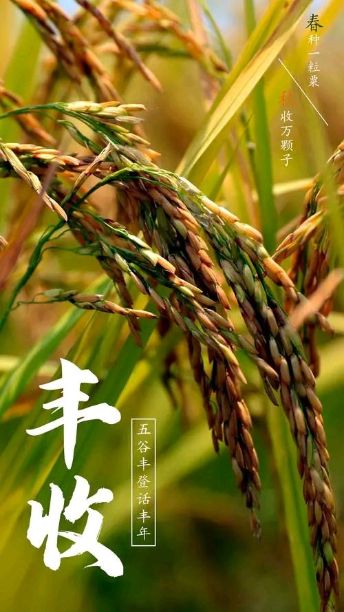 七律-甲辰秋分～诗||杨景儒（图15）
