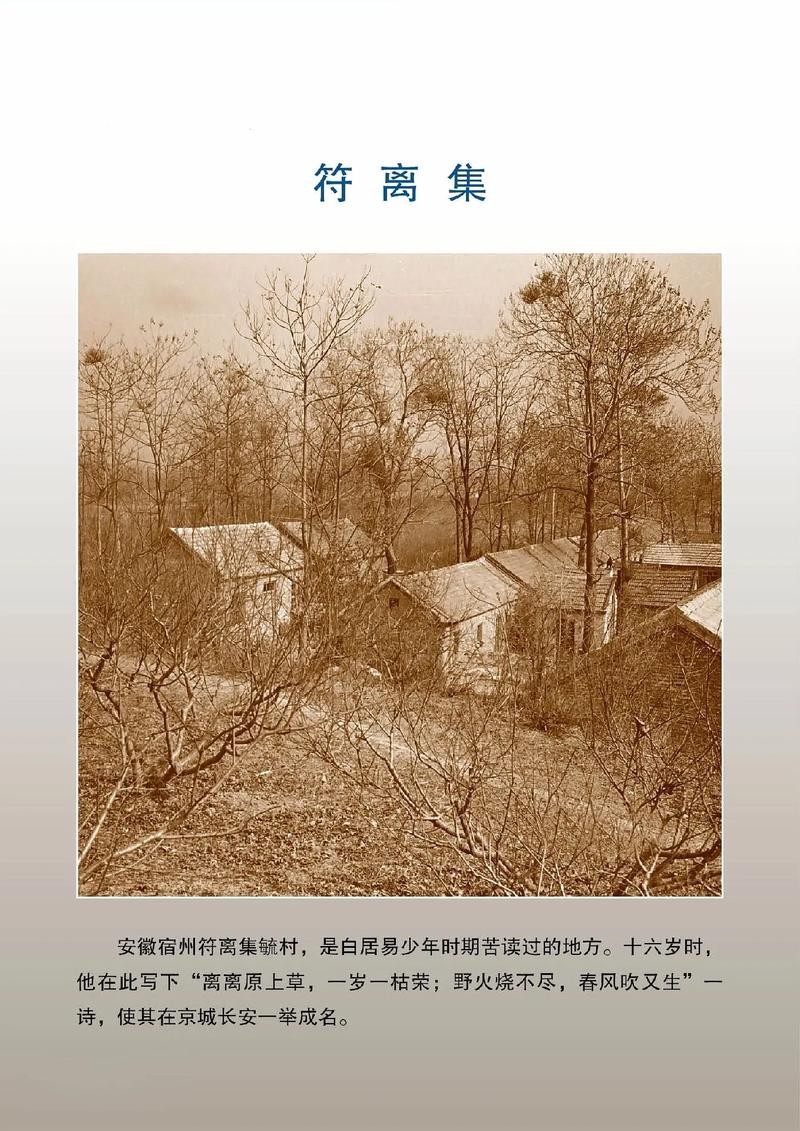 【神都诗社】第100期《白居易》(图9)