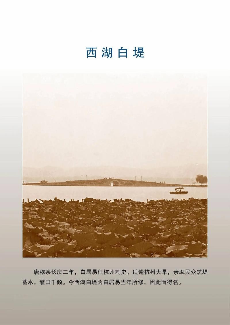 【神都诗社】第100期《白居易》(图19)