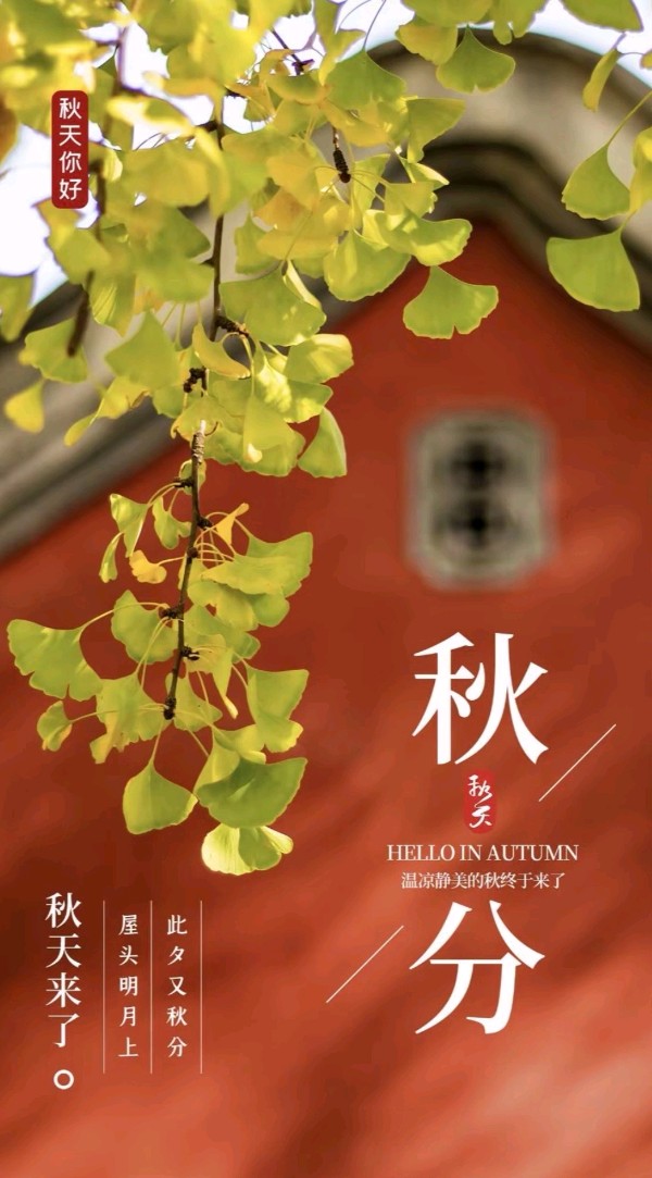 七律-秋分（外一首）诗||旗袍（图8）