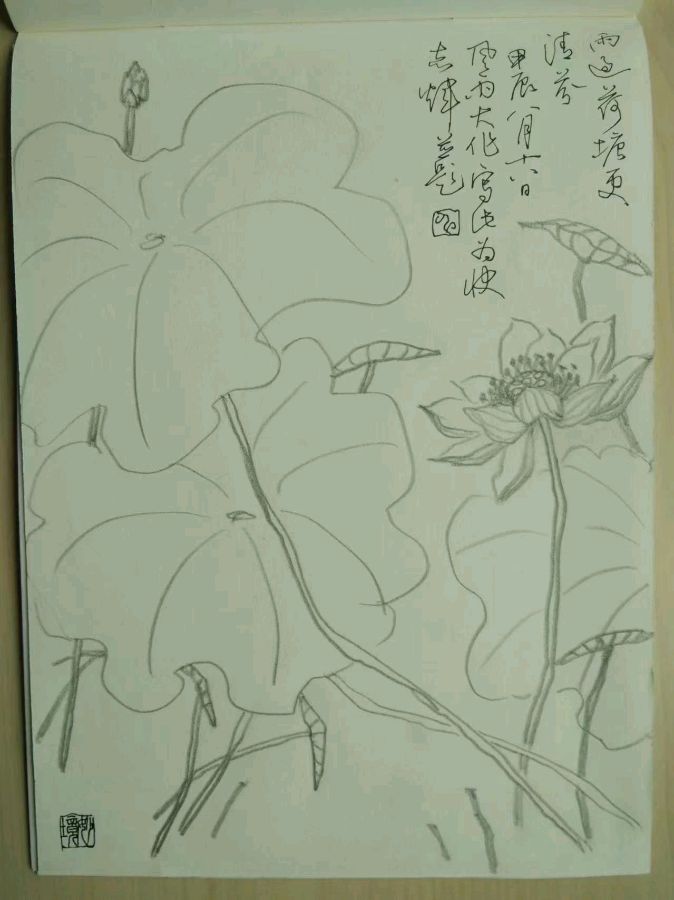 【都市头条向幸福出发编辑部】第12532期 申志辉先生作品115（图3）