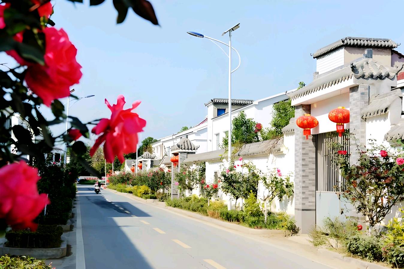 欣赏陈问生老师律诗·散步见闻（图2）
