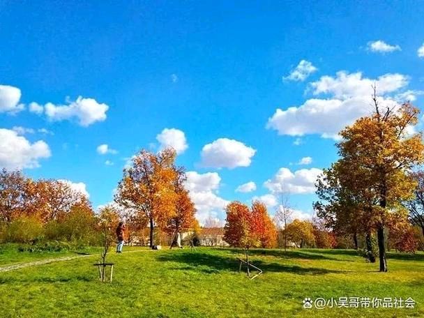 【经典推荐】伍玉龙老师//感秋（图5）