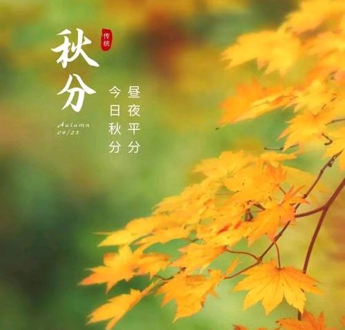 秋 意