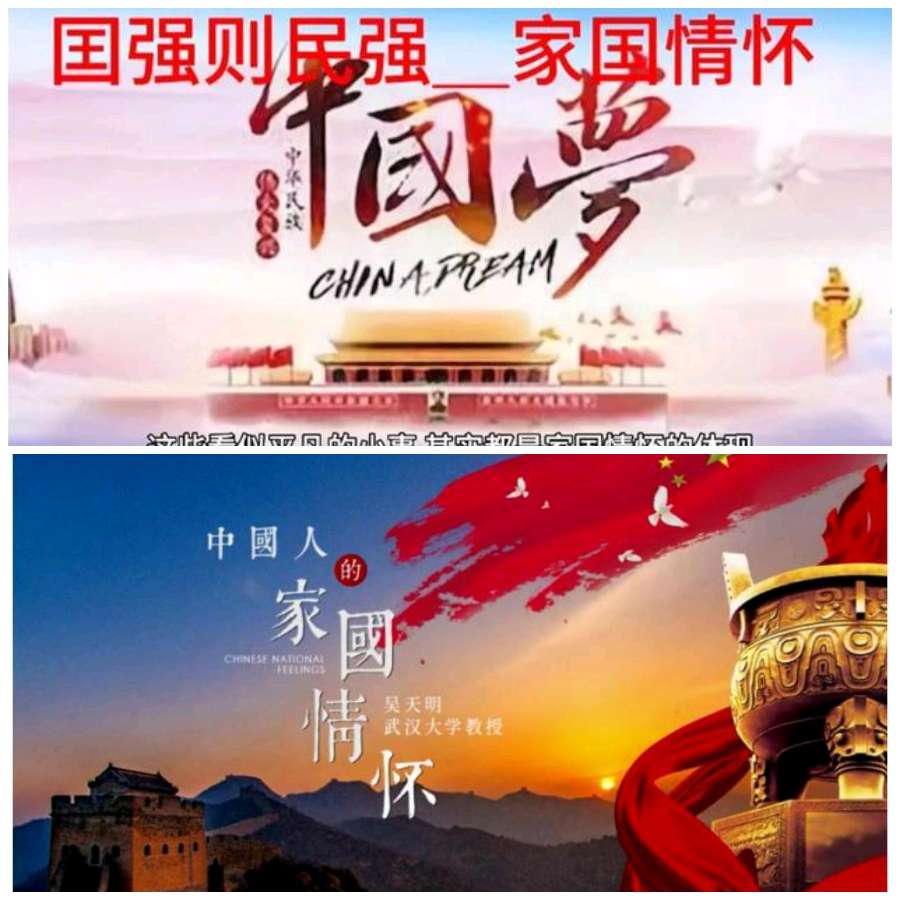 【重磅推出】鲁坡//好想有个家（图6）