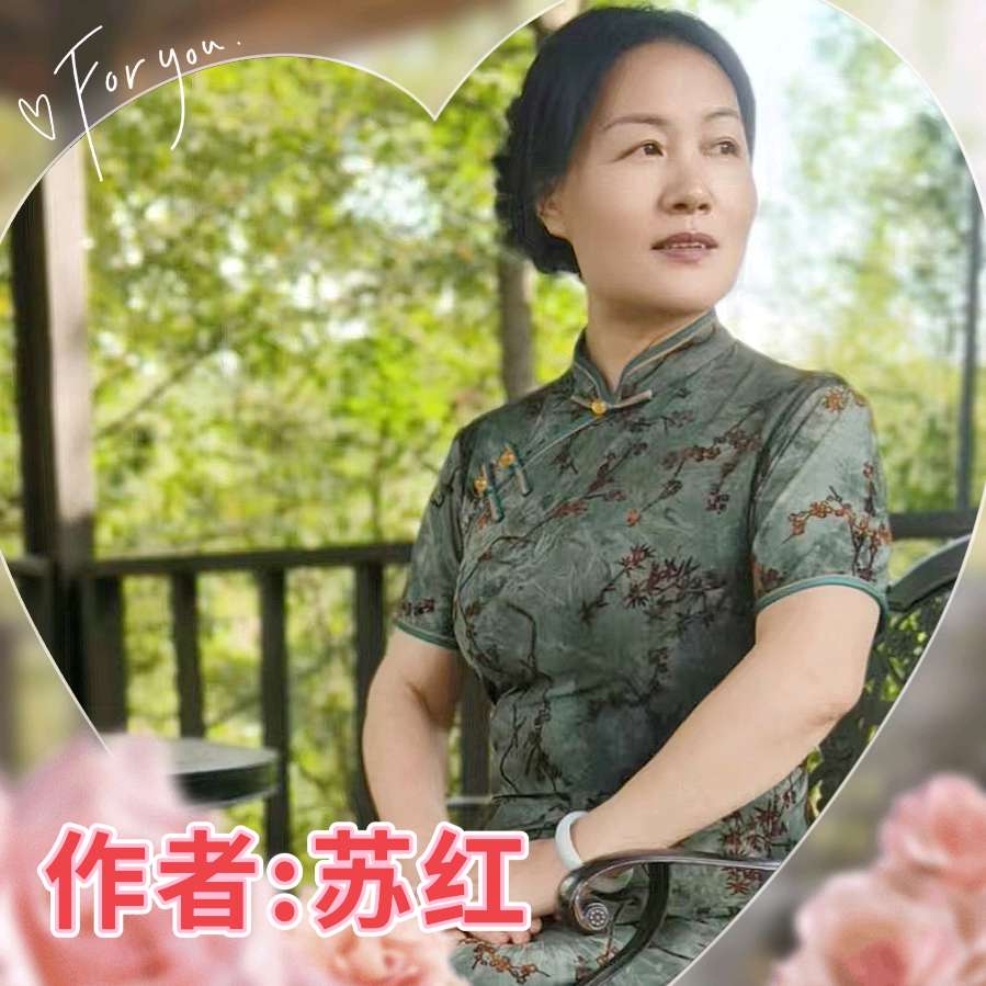 醉美夜色 许昌曹魏古城(散文) 作者/苏红 主播:寒冰(图10)