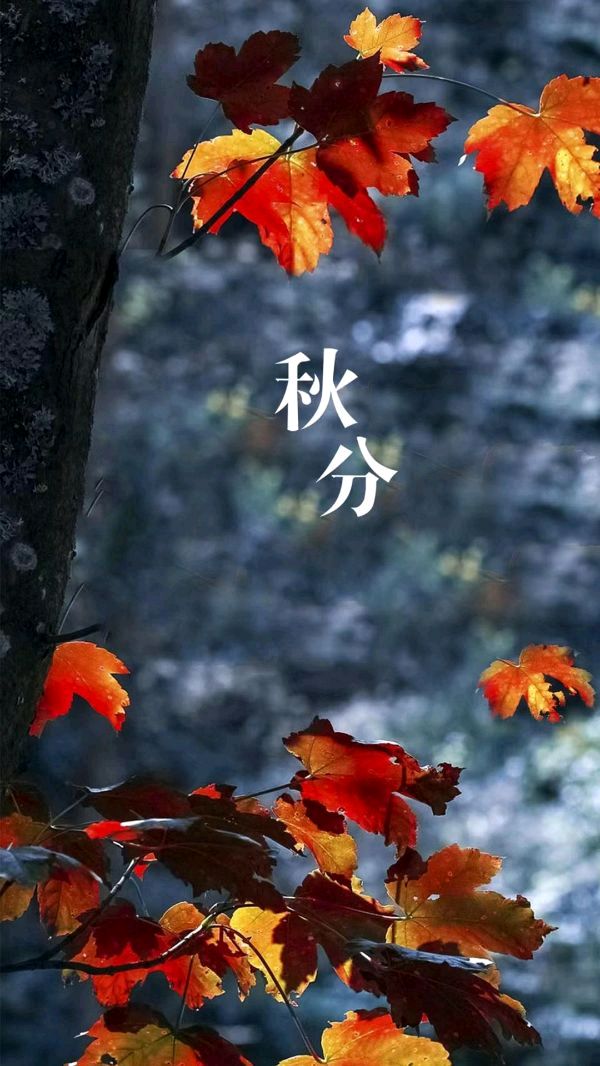 《九江文学社：北京头条》《甲辰秋分节气》——《暨第七个中国农民丰收节》专刊（图10）