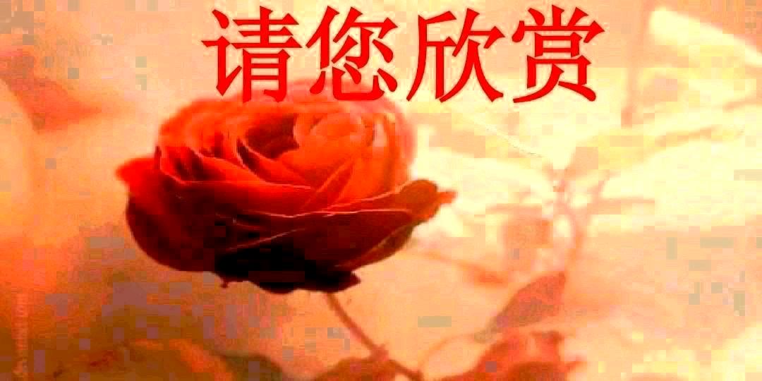 秋分节令即兴金夜（兰州）