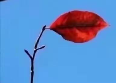 【重磅推出】鲁坡//敢询正义在何方[秋韵抒怀]（图8）