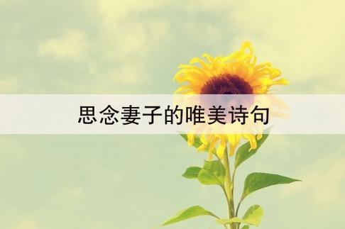 【经典推荐】“农民诗人”曹南强//南乡一剪梅•离殇[系列作品展]（图3）