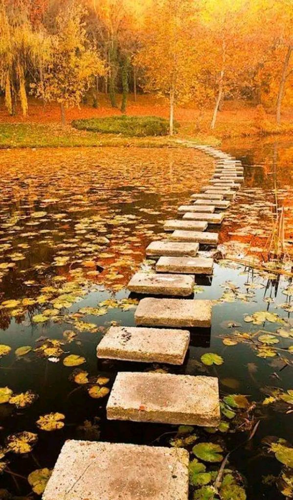 东方书剑的《【仙吕•太常引】秋分小河湾》