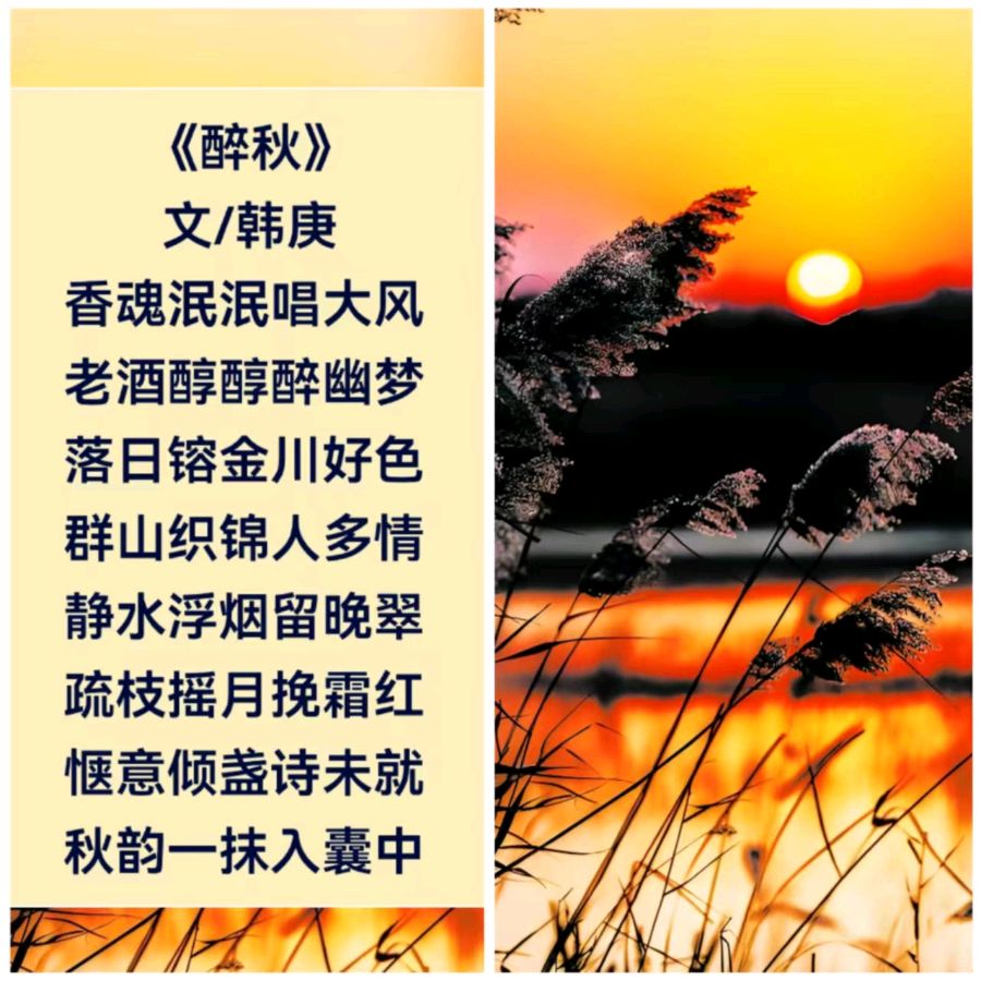 韩庚的《醉秋》