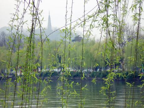 《行香子三首》作者:龙游天下 [中国现代诗歌文化传媒]（图8）