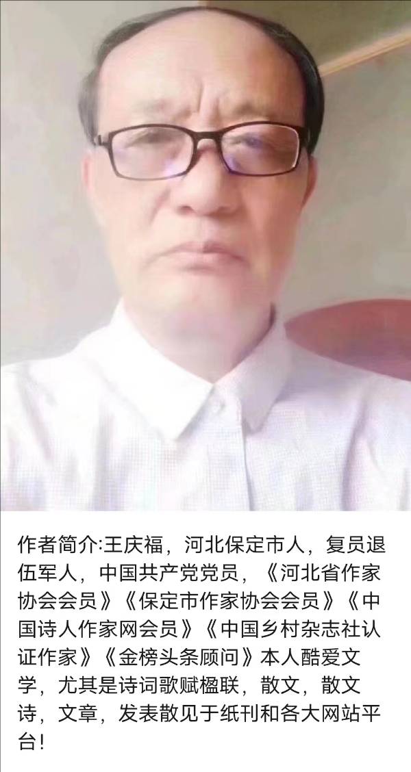 《等你》作者/庆福 主播/红霞 主编/胡琴（图5）