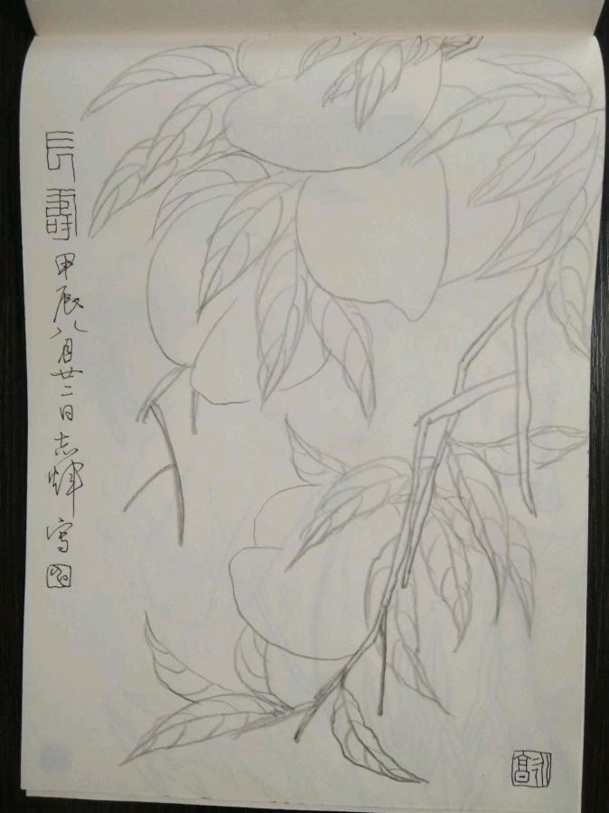 【都市头条向幸福出发编辑部】第12553期 申志辉先生作品119