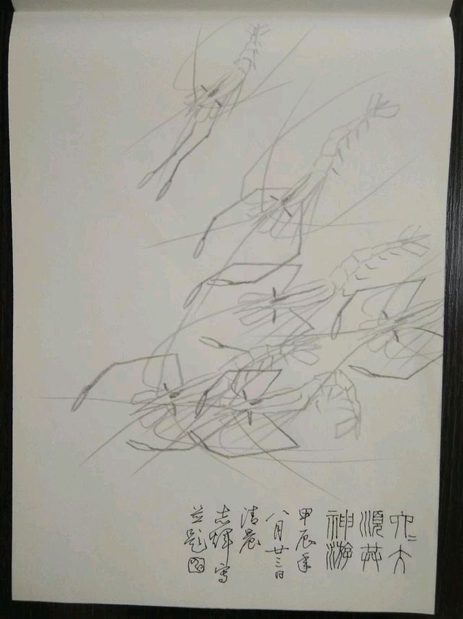 【都市头条向幸福出发编辑部】第12553期 申志辉先生作品119（图4）