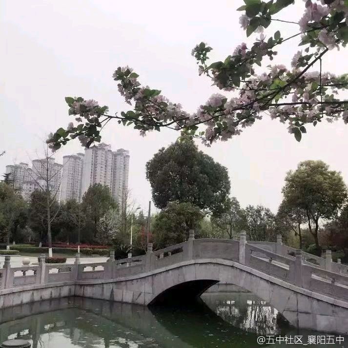 排律-五十年后又聚首（外一首）诗||吕志学（图21）