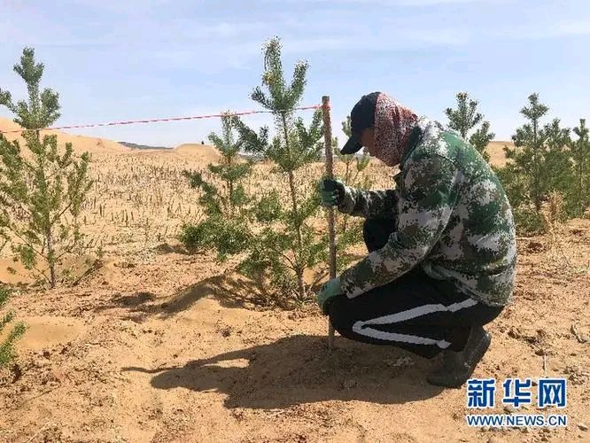 【红色文化】散曲专刊/主编/润牙子（图14）